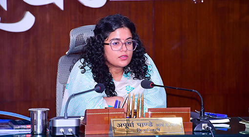 डीएम ने बैंकों को दिए लक्ष्य के अनुरूप प्रगति सुनिश्चित करने के निर्देश