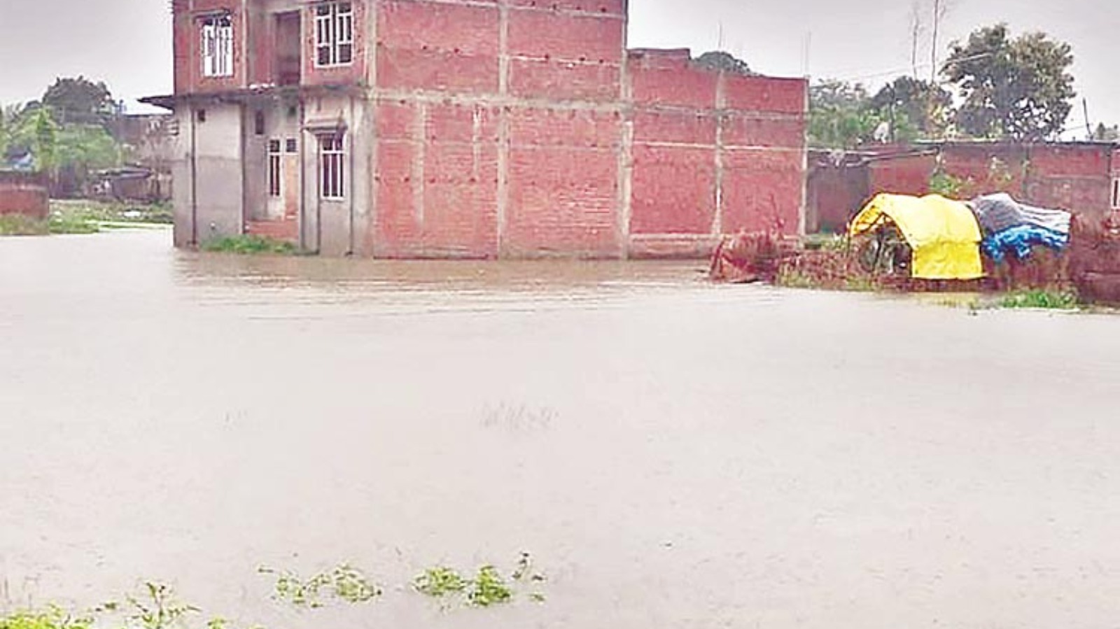 भारी बारिश से नई बस्ती कोठीपुर गांव जलमग्न, दर्जन भर घरों में घुसा पानी
