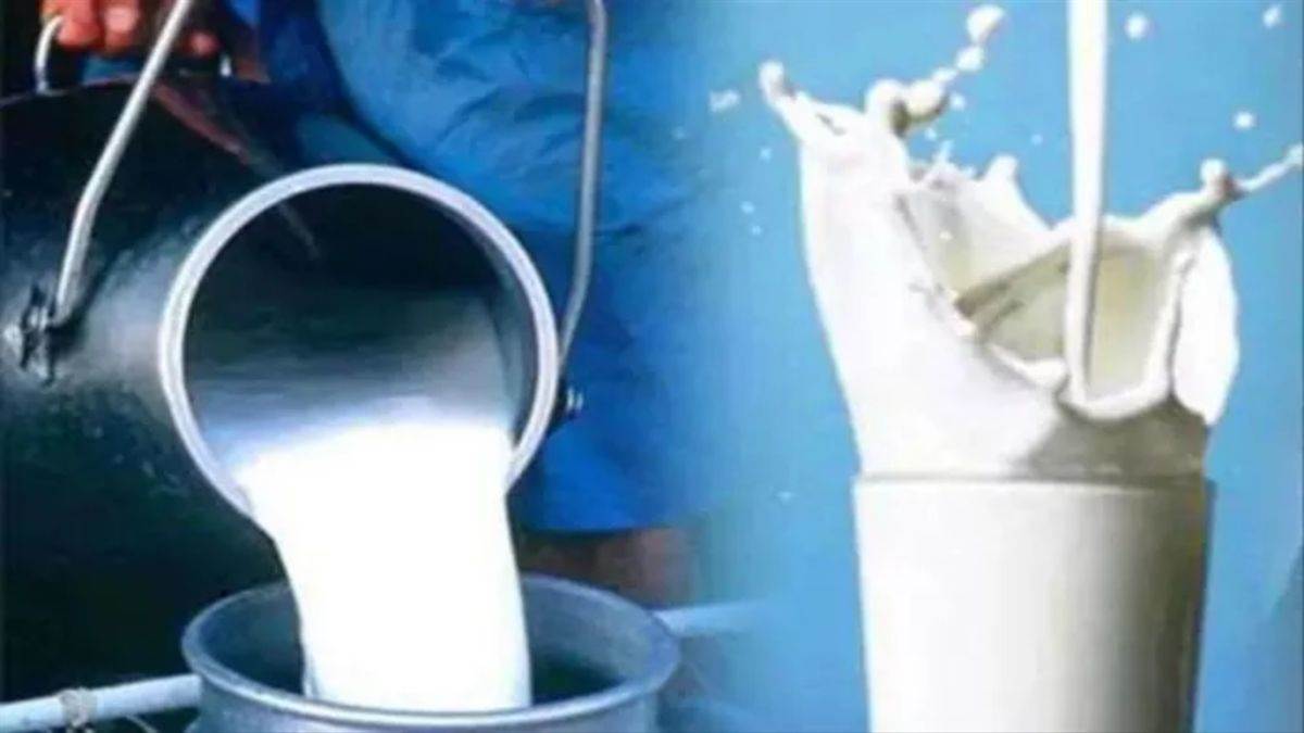 1 से 3 अक्टूबर तक हरियाणा में दूध की सप्लाई बंद, बेचने पर 51 हजार जुर्माना
