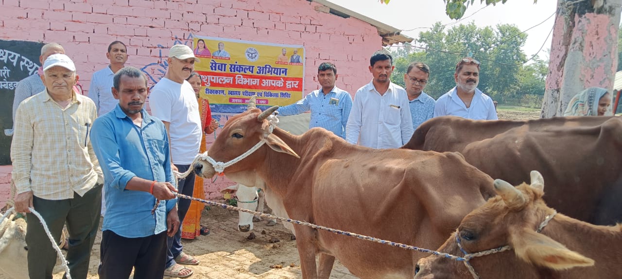 सेवा संकल्प अभियान: अष्टमी के पावन अवसर पर 76 गोवंश 26 लाभार्थी परिवारों को किए गए सुपुर्द