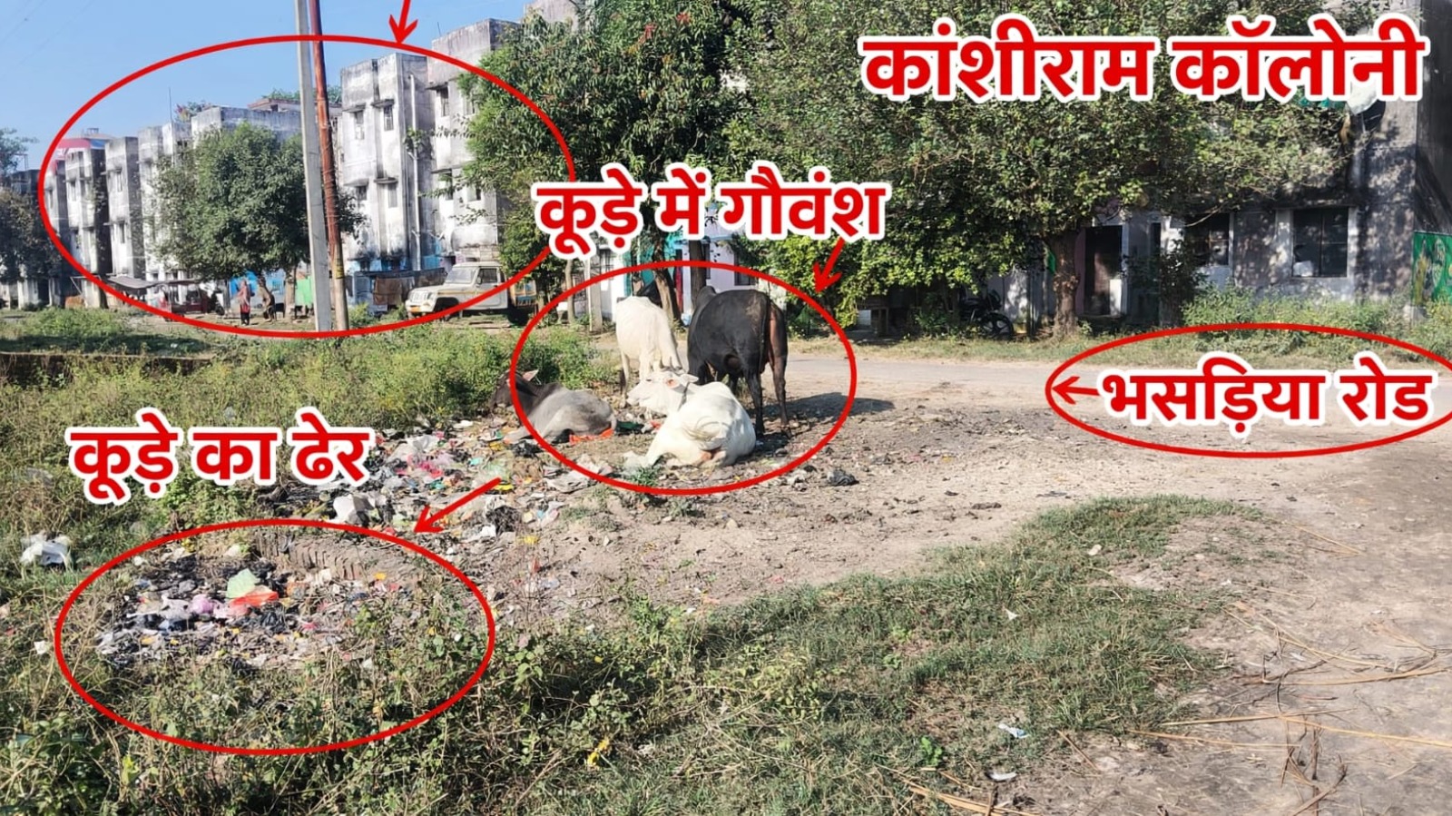 योगी सरकार के स्वच्छ भारत मिशन को पलीता लगा रही कांशीराम कॉलोनी