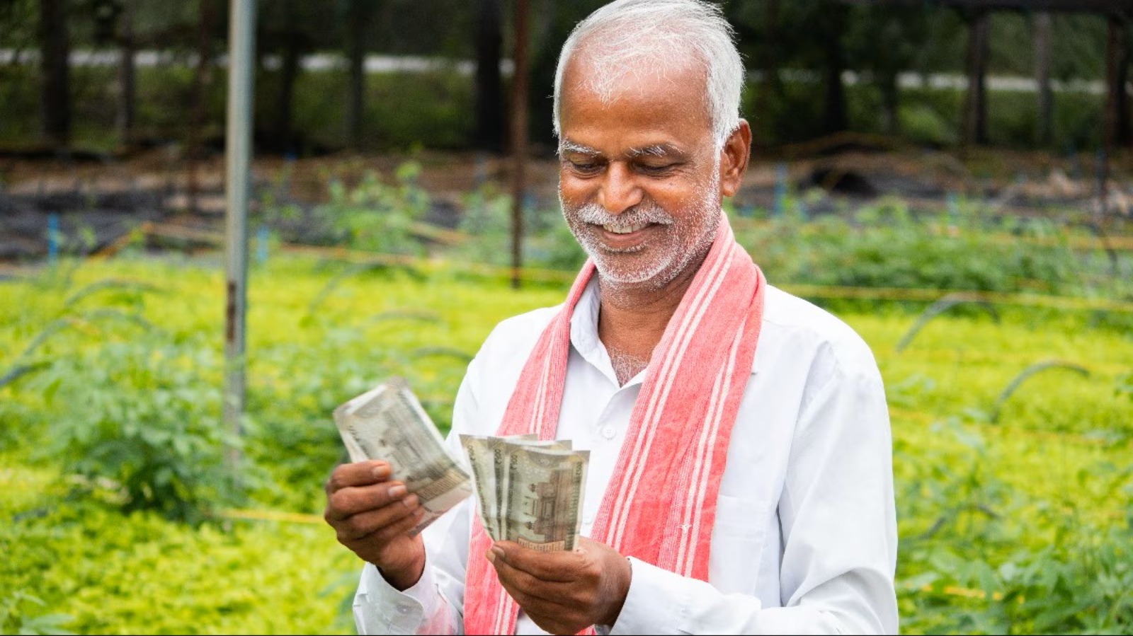 यूपी के 2.24 करोड़ से अधिक किसानों के खाते में आई 'सम्मान निधि'