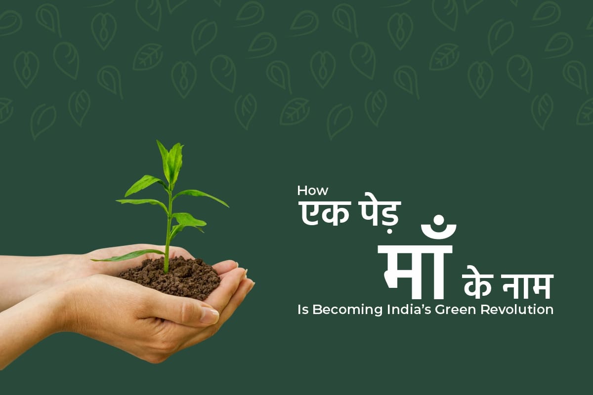 एक पेड़ मां के नाम: 5 करोड़ पौधे लगाएगा यूपी