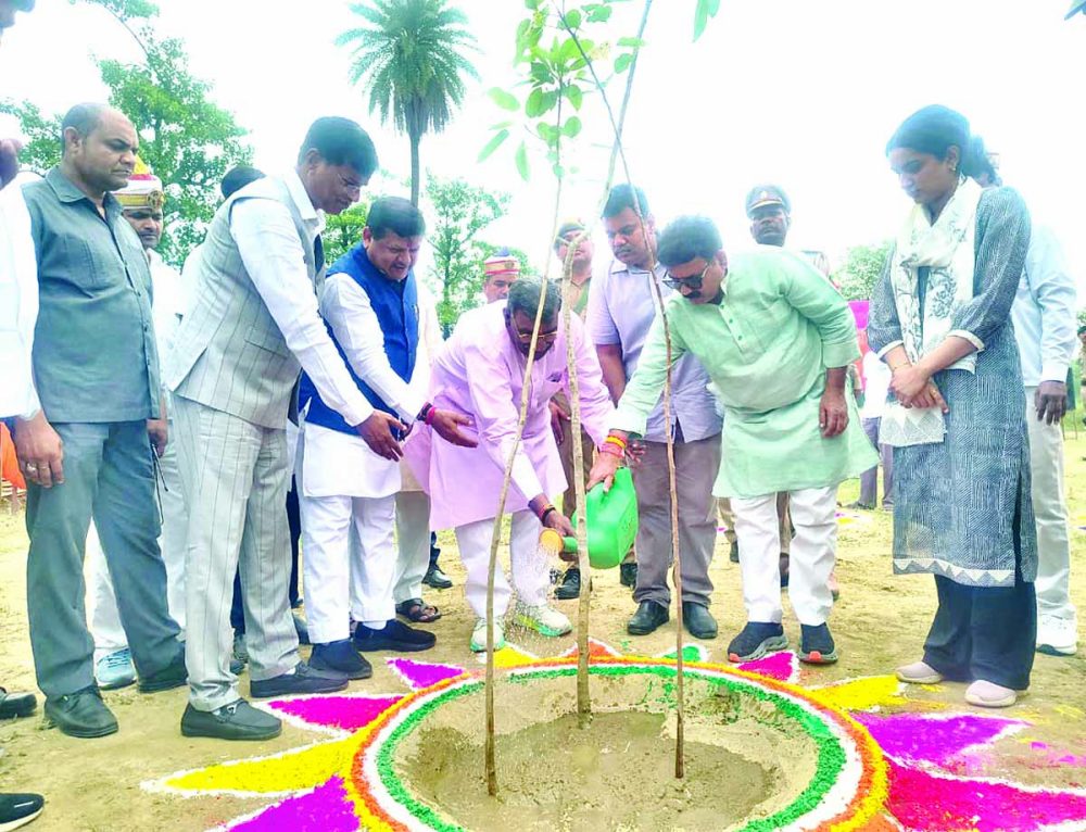 विश्व पर्यावरण दिवस पर जनपद में चला हरियाली का महाअभियान