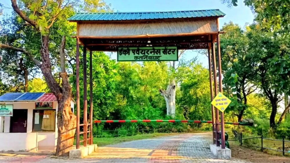 पर्यटन सत्र 2025-26 में 12 हजार से अधिक पर्यटकों ने किया कतर्नियाघाट का दीदार