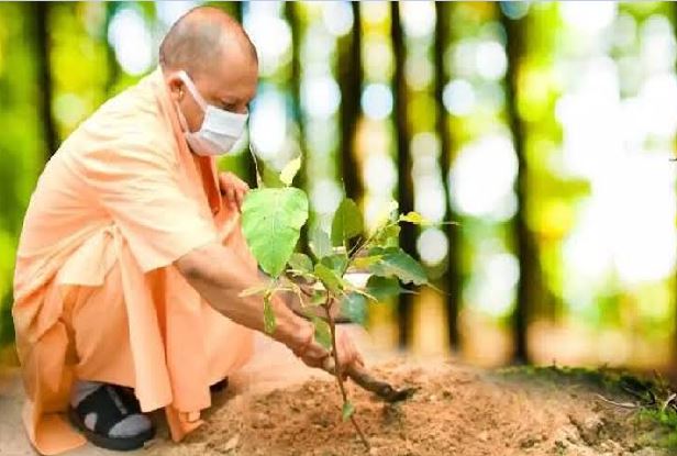 पौधरोपण में 12 जुलाई को फिर नया इतिहास रचेगी योगी सरकार