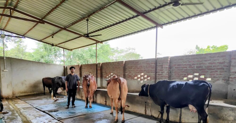 डेरी से सालाना हो रही 20 लाख की कमाई