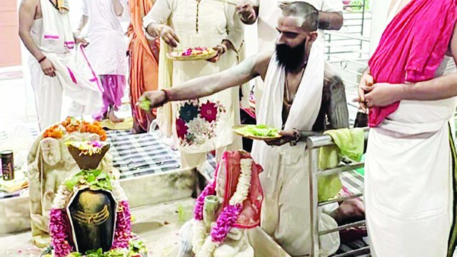 प्राचीन हनुमान मंदिर में महारुद्र यज्ञ, जलाभिषेक के बाद लगा विशाल भंडारा