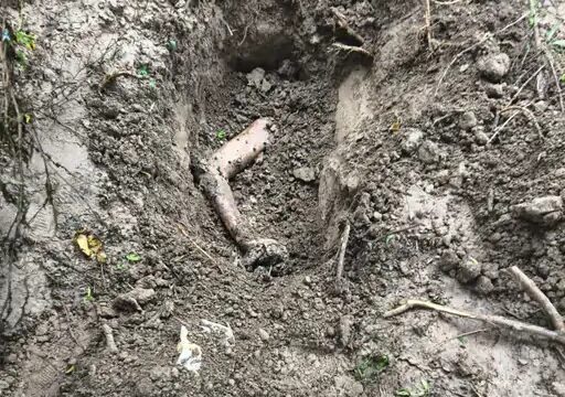 खेत में दबा मिला 32 वर्षीय युवक का शव, हत्या की आशंका