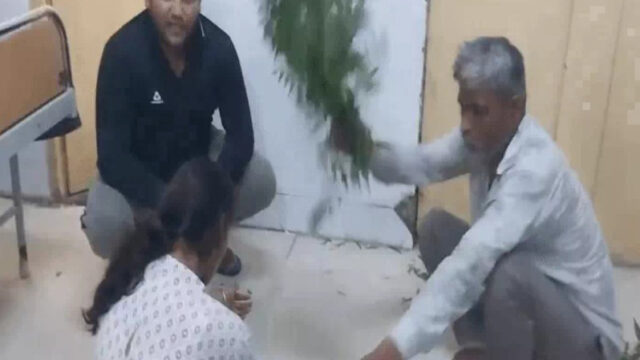 पलवल सरकारी अस्पताल: सांप के काटने पर युवती को नीम की पत्तियों से लगाया झाड़ा