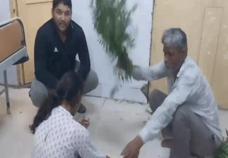 पलवल सरकारी अस्पताल: सांप के काटने पर युवती को नीम की पत्तियों से लगाया झाड़ा