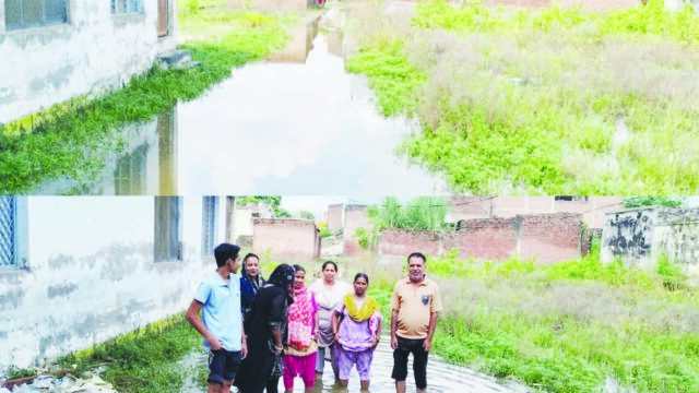 बारिश ने खोली जल निकासी की पोल, घरों के सामने जलभराव