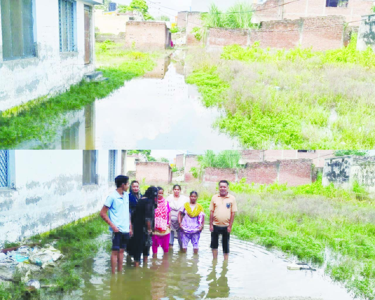 बारिश ने खोली जल निकासी की पोल, घरों के सामने जलभराव