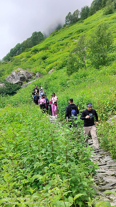 फूलों की घाटी में सैलानियों की रिकॉर्ड आमद, अब तक पहुंचे 22 हजार पर्यटक