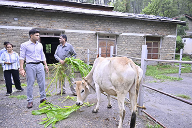 जिलाधिकारी अंशुल सिंह ने भैंसवाड़ा फार्म में निर्माणाधीन गौशाला का किया निरीक्षण