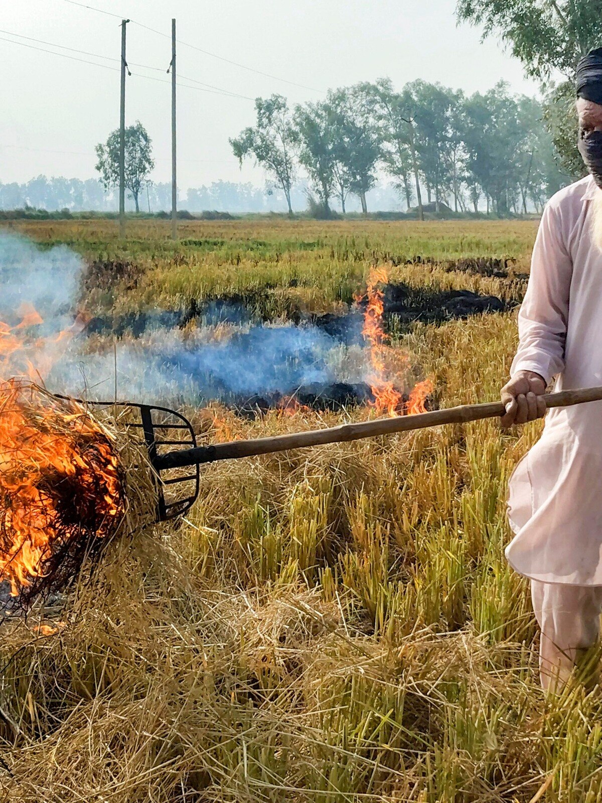पराली जलाने पर अब प्रशासन की पैनी नजर, शामली में गठित हुआ अनुश्रवण सेल