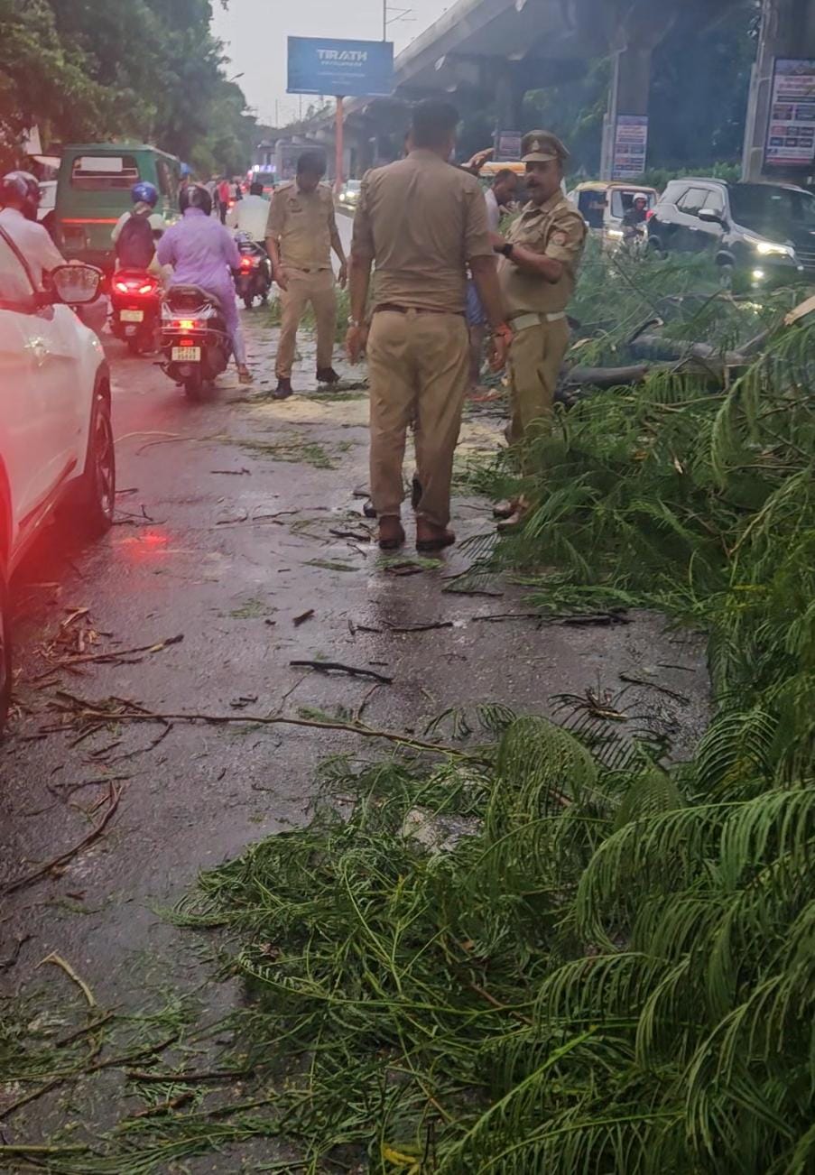 बारिश के बीच आईटी चौराहे पर गिरा पुराना पेड़