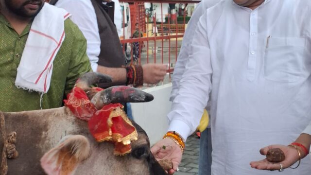 गौमाता की सेवा से बड़ा कोई पुण्य नहीं – कुलदीप माइती, लखनऊ कान्हा उपवन में किया गौ पूजन