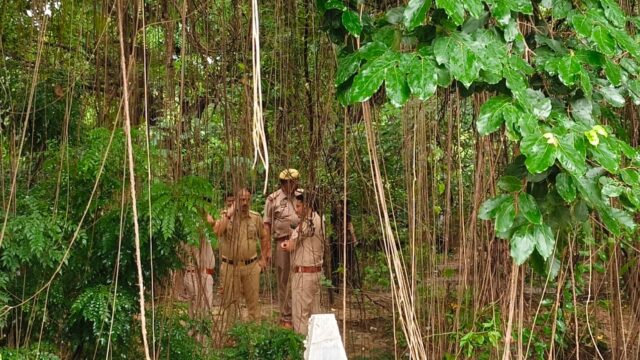 जंगल में संदिग्ध परिस्थितियों में पेड़ से लटका मिला युवती का शव
