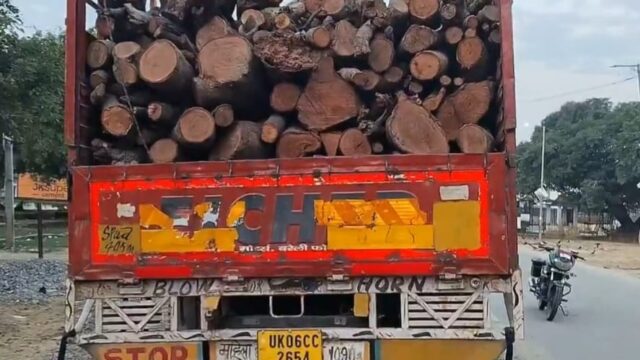 बिना रवन्ने के आम की लकड़ी ले जा रहे तीन ट्रक पकड़े