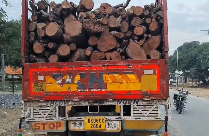 बिना रवन्ने के आम की लकड़ी ले जा रहे तीन ट्रक पकड़े